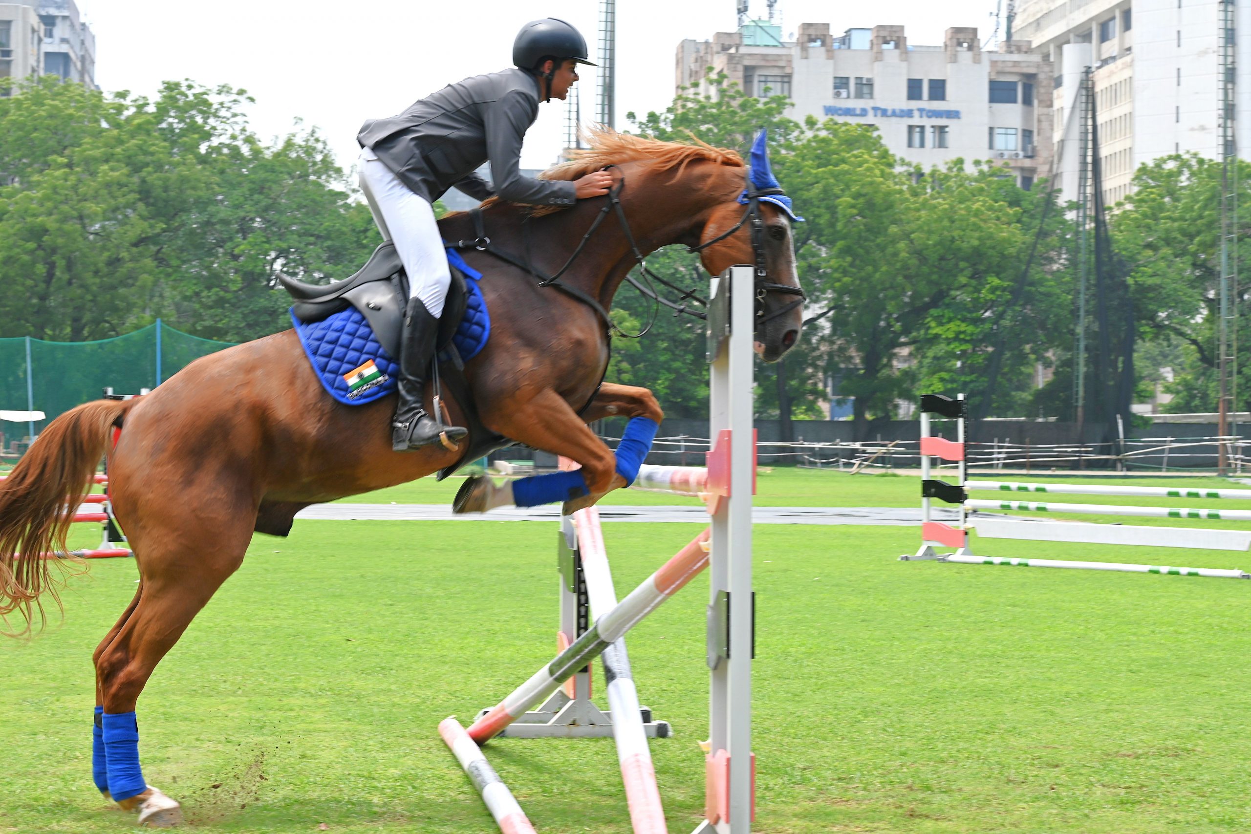 HORSE ACTIVITIES 28.07.25